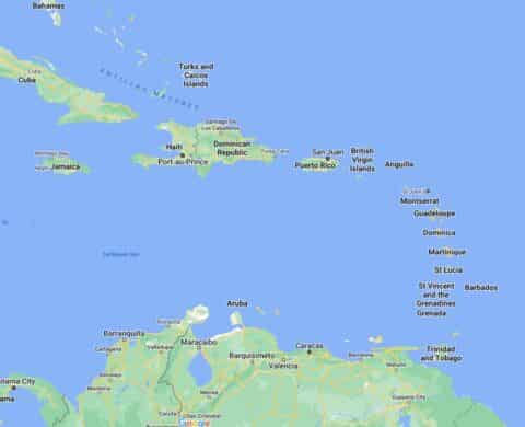 I Tell You, Irreverently, How To Care For Your Guppies - 21 Pictures, A ...