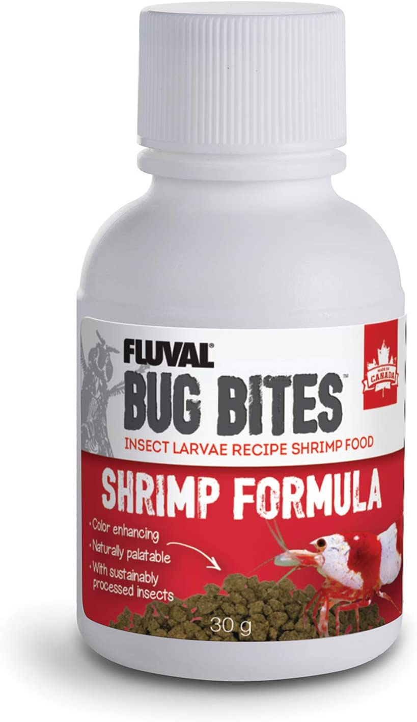 bug bites shrimp food