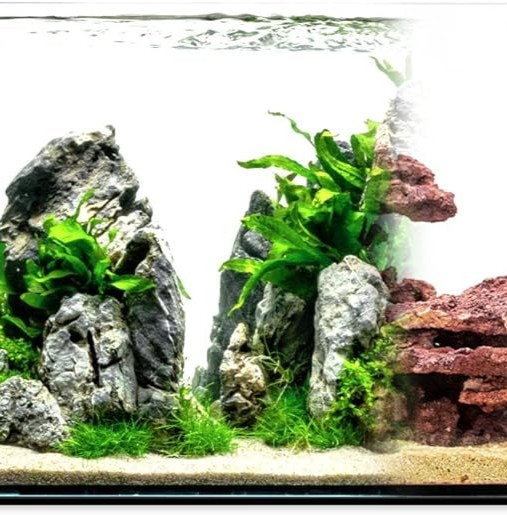 Planted low lead aquarium