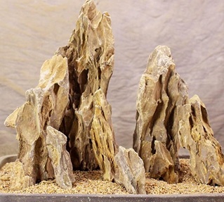 Dragon Stone