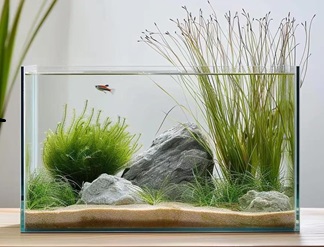 small planted aquarium