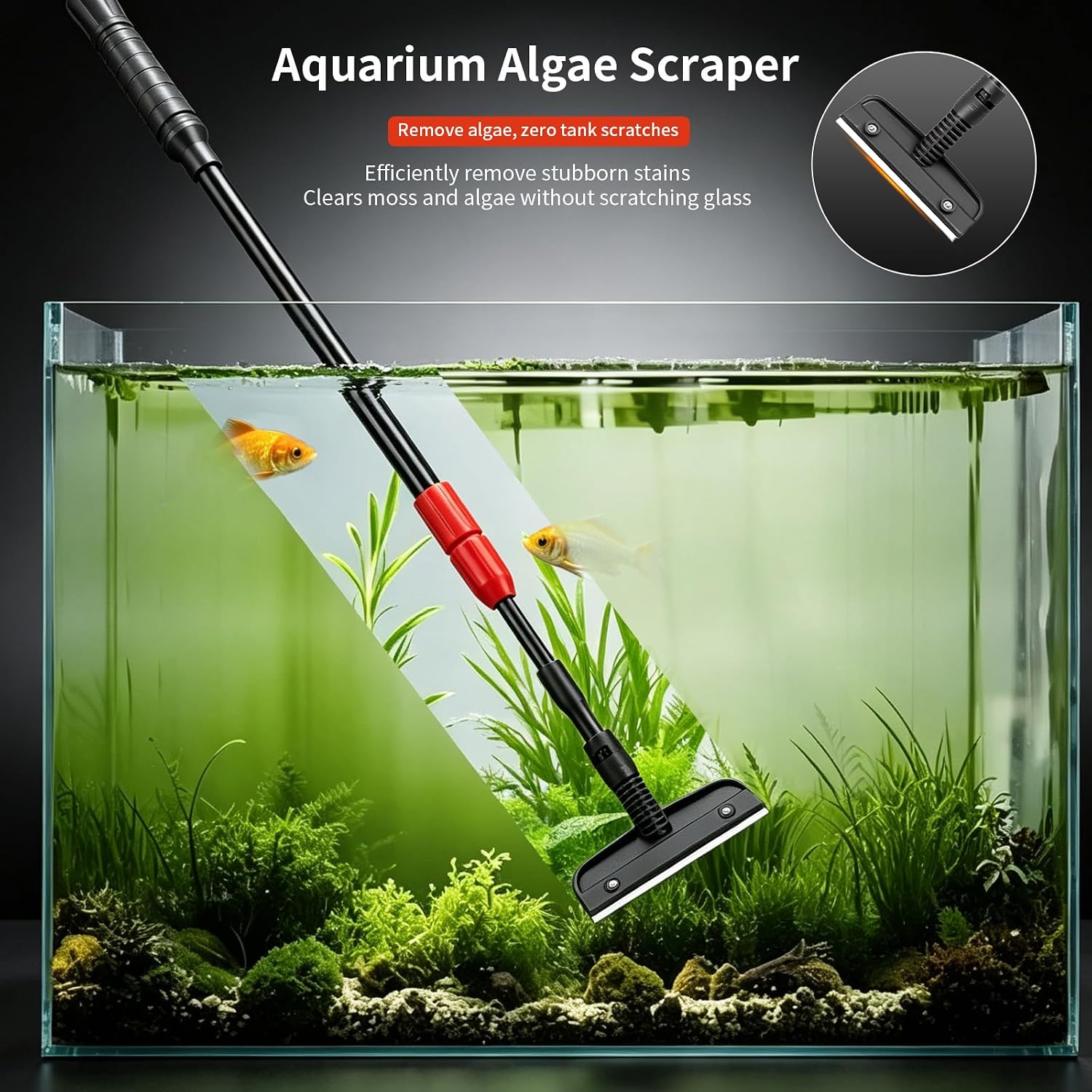 picture of algae being cleaned off of aquarium glass